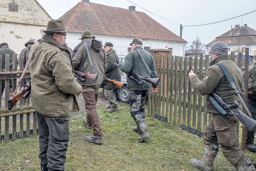 Svaz měst a obcí ČR varuje před negativními dopady novely zákona o myslivosti na venkovské obce a myslivost