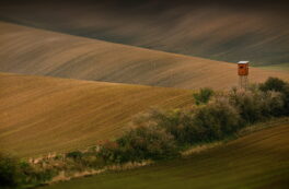 Fields of Moravia, Czech Republic