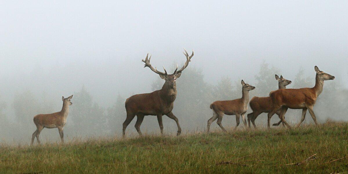 Foto: Jaromír Zumr st.